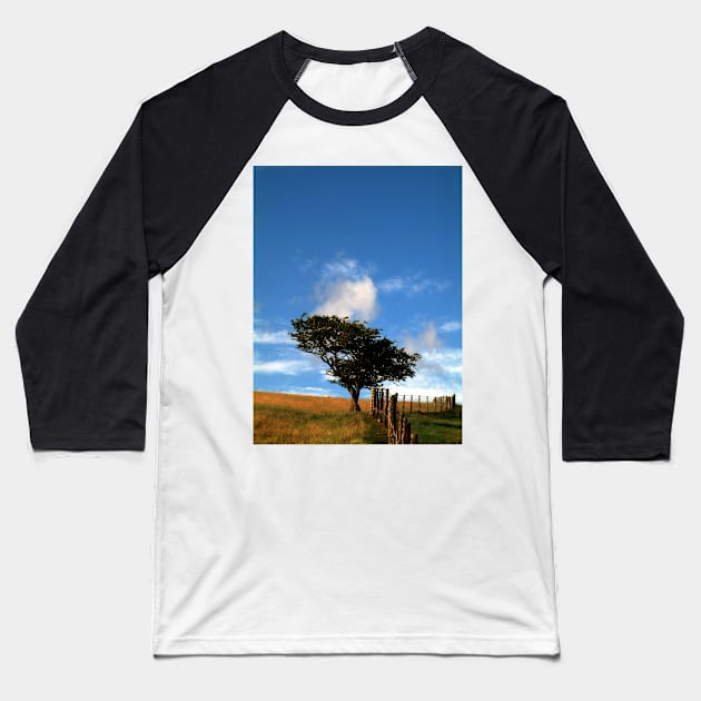 Tree on a Hill Baseball T-Shirt by newbeltane